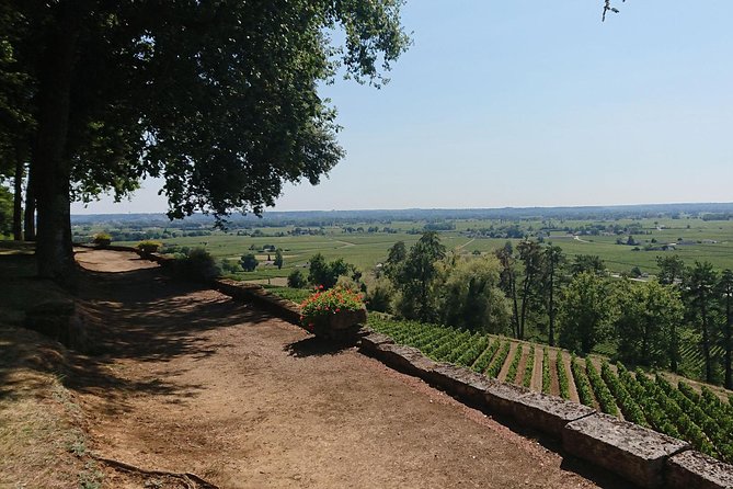 A Day in Saint-Émilion and Its Châteaux in a Private Tour (Van Luxe) - Château Saint-Émilion Tastings