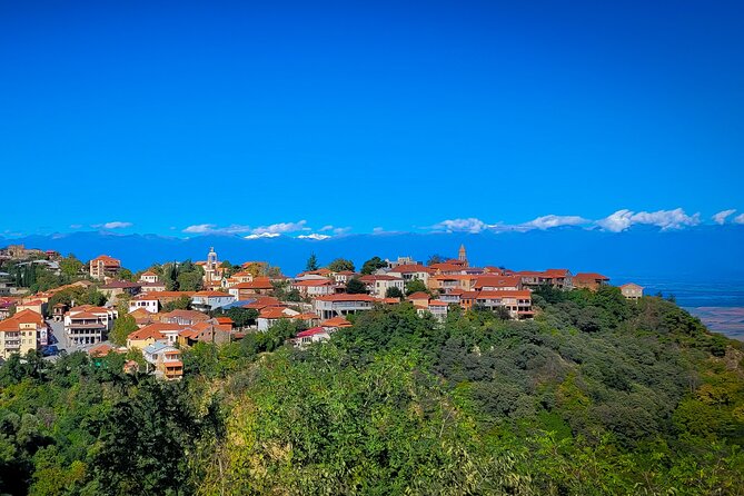 A Day Tour to Kakheti Region/Wine/Culture/History and Gastro Tour - Tour Duration and Exclusivity