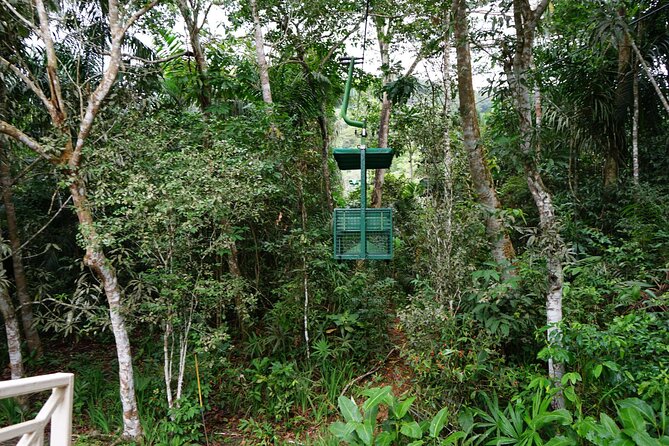 A Day With Nature: Boat Trip on Gatun Lake and The Aerial Tram - Wildlife Encounters on the Water
