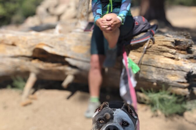 A Locals Favorite Hike in Big Bear With Lake Swimming Experience - Hiking Difficulty and Elevation