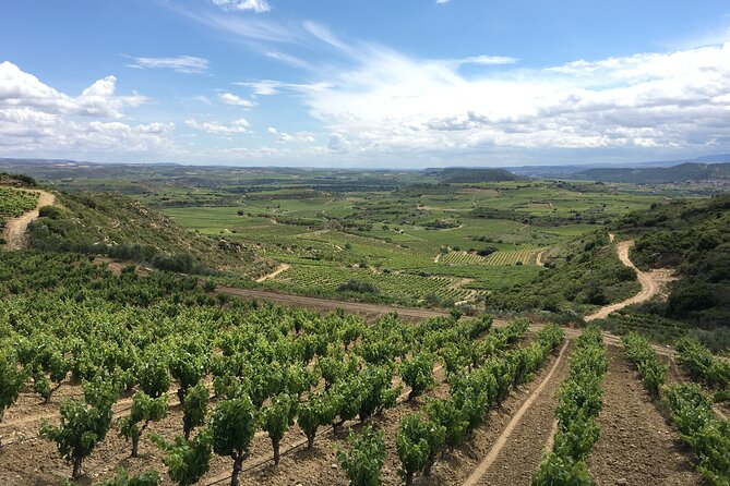 A Sip-By-Sip Tour of 3 Boutique Rioja Family Wineries (Private Tour With Lunch) - Rioja Alavesa Region