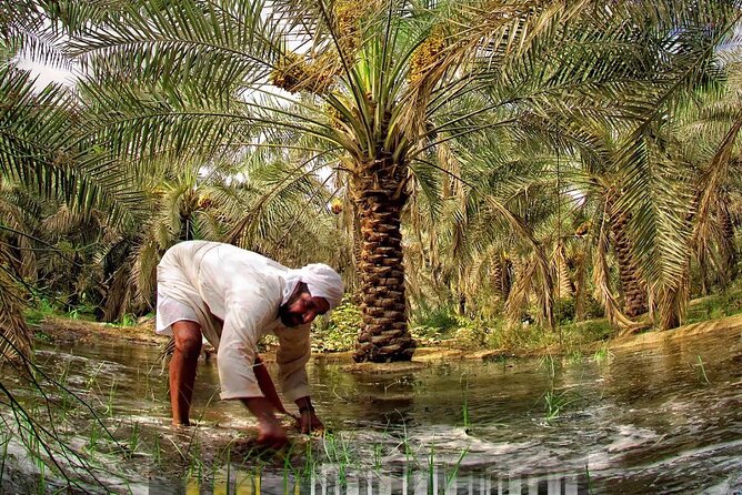 A Tour in Al Ahsa the Largest Oasis in the World - Discovering Hofufs Historic Train Station