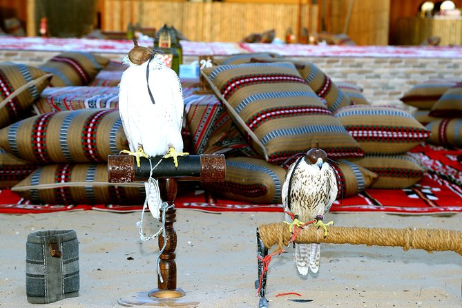 Abu Dhabi Afternoon Desert Safari and BBQ Dinner - Exciting Activities Offered