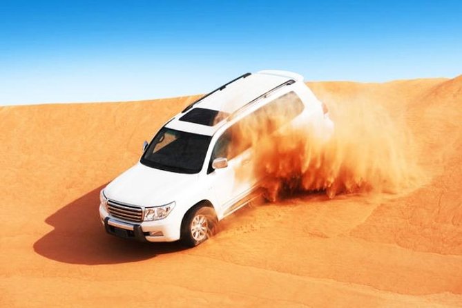 Abu Dhabi Desert Safari 4x4, BBQ Dinner, Camel Ride - Included Amenities