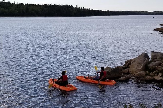 Adult Single Kayak Rental - Meeting and Pickup
