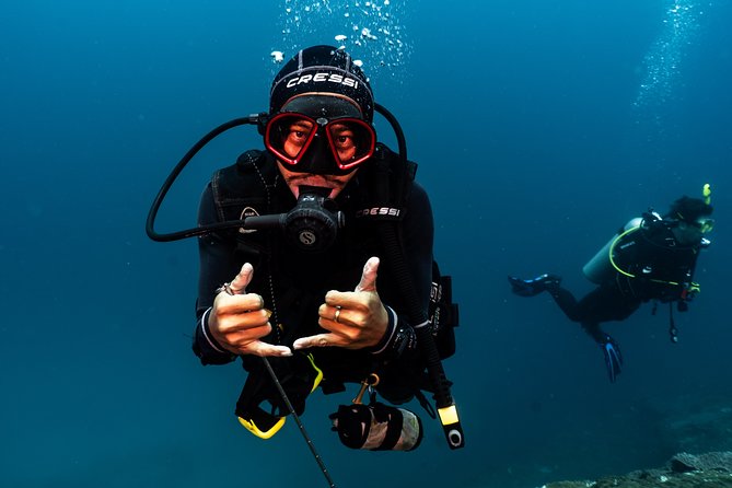 Advanced Open Water Course in Pemuteran - Certification in Bali (Menjangan Park) - Certification Benefits