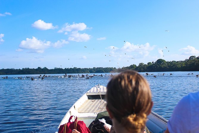 Adventure in the Amazon Jungle 5d/4n at Amazon Mamori Lodge - Accommodation and Meals