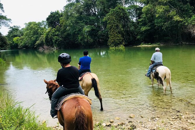 Adventure Sun Set Horse Ride - Guided Tour Highlights