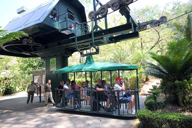Aerial Tram Tour From Jaco - Aerial Tram Experience