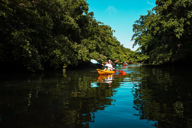 Afternoon Guided Kayak Tour on the Tamarin River - Meeting and Departure Details