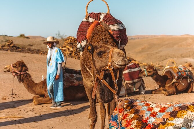 Agafay Desert - Quad Camel and Dinner Show - Scenic Camel Ride