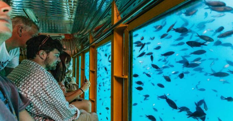 Agios Nikolaos: Semi-Submarine Cruise - Booking Information