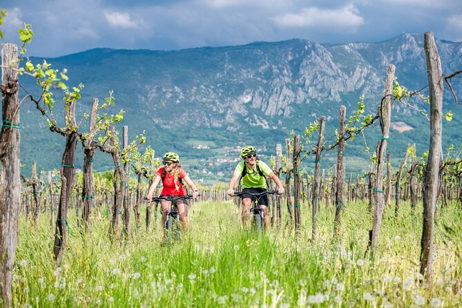 Ajdovscina Electric Bike Rental  - Koper - Whats Included in the Rental