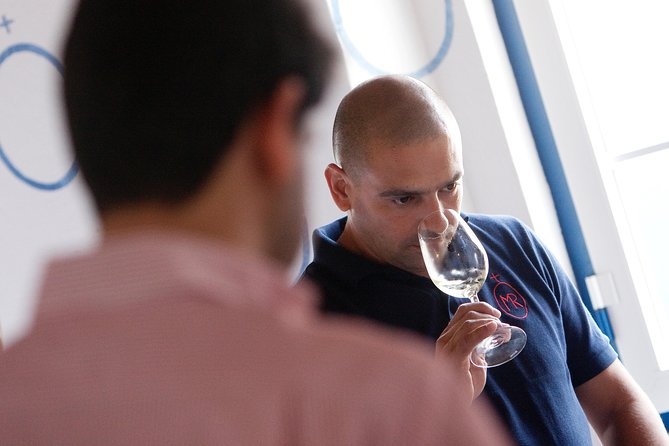 Alentejo Wine Tour From Évora - Pricing for Tour Packages