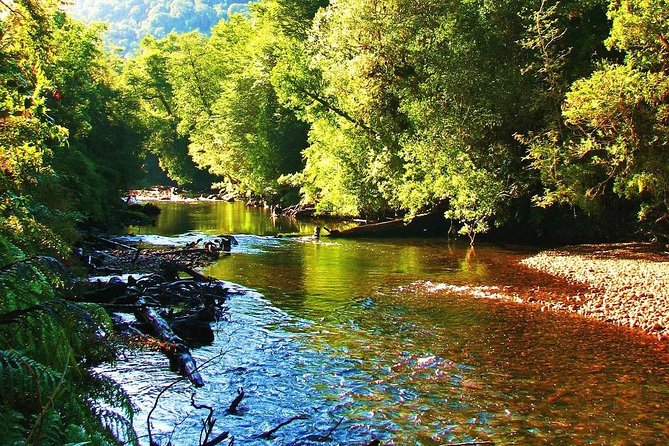 Alerce Andino National Park. - Tour Highlights and Itinerary