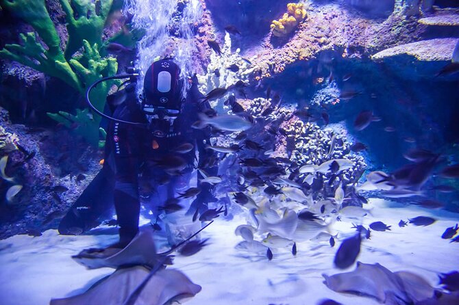 Alexander Waterfall and Antalya Aquarium Day Tour From Side - Inclusions and Exclusions
