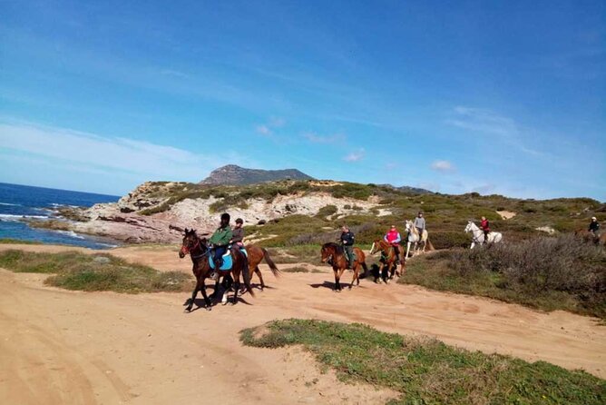 Alghero: Guided Horseback Ride at Lake Baratz & Porto Ferro - Participation Requirements