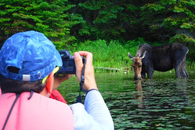 Algonquin Park Luxury 3-Day Camping & Canoeing: Moose/Beaver/Turtle Adventure - Meeting Point and Logistics