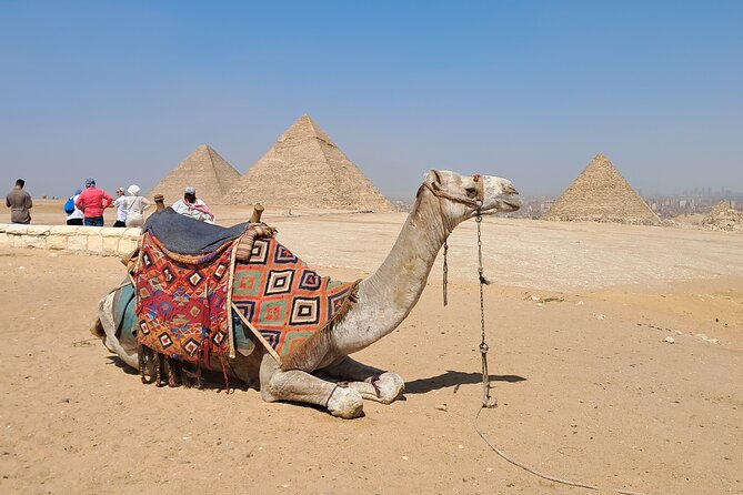 All Inclusive Giza Pyramids, Camel Ride ,Sphinx, Lunch and ATV - Inclusions and Amenities