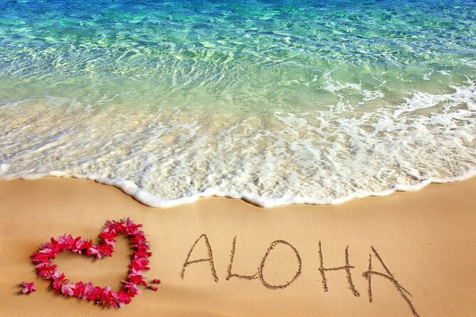 Aloha Grand Island Tour - Inclusions and Pricing
