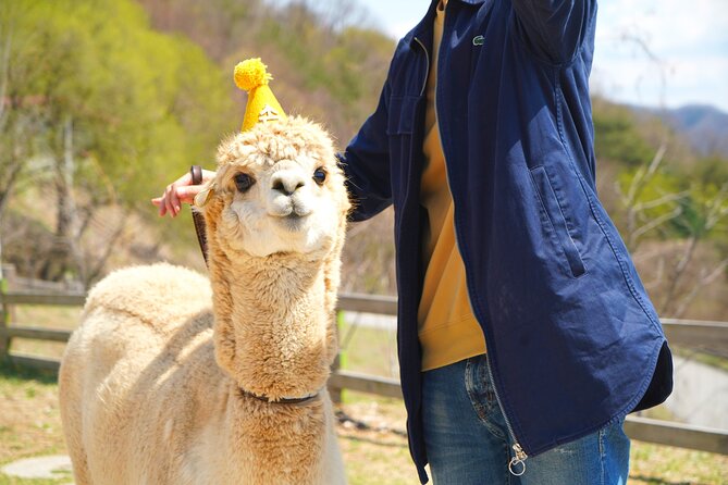 Alpaca World Tour With Nami Island & Optional Railbike or Garden - Discovering Nami Island