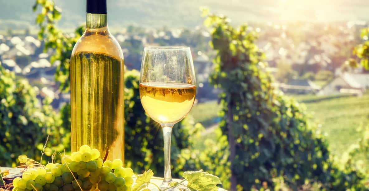 Alsace: Full-Day Wine Tour & Tastings From Strasbourg - Wine Tasting Experience