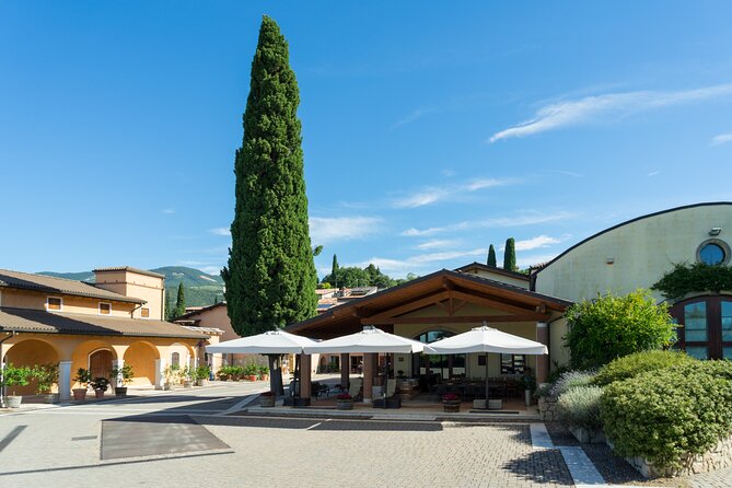 Amarone 2005 Wine Experience - Location and Meeting Point