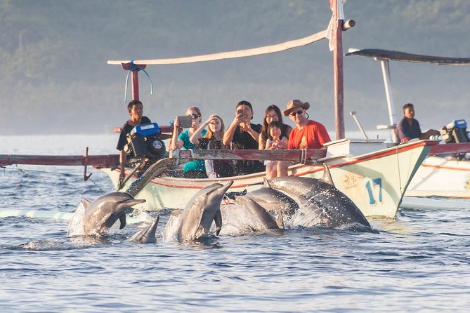 Amazing Private Tours: Dolphins Lovina and Gitgit Waterfall Include Lunch - Dolphin Watching Experience