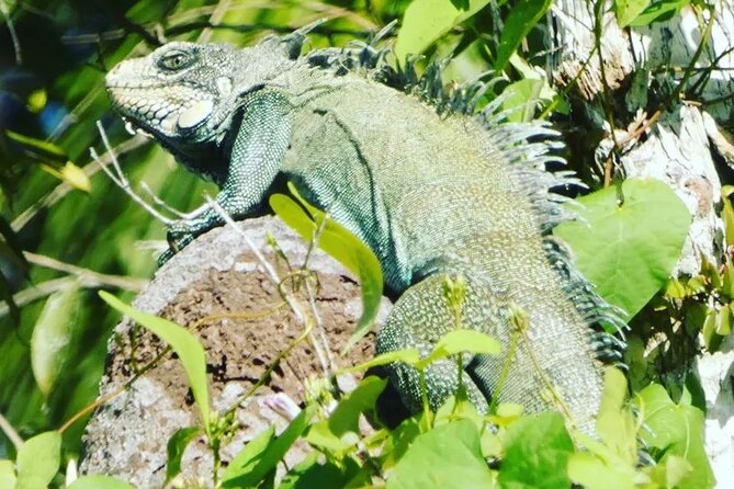 Amazon Wildlife Explorations 3 Days 2 Night - Itinerary Overview