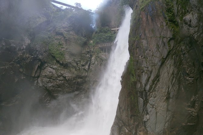 Andes & Amazon, the Triangle Route 5 Days / 4 Nights (Private Trip From Quito) - Accommodation and Meals