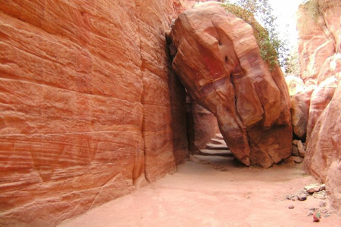 Aqaba Shore Excursion: Private Petra Sightseeing Tour With Lunch - Inclusions and Logistics