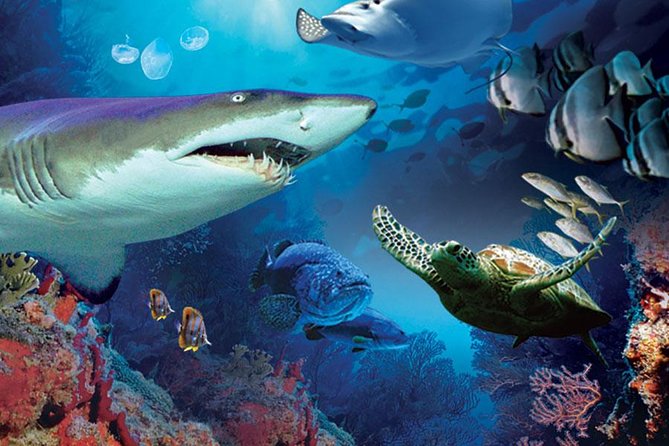 Aquaria KLCC Admission With Kuala Lumpur City Famous Landmarks - Transportation Details