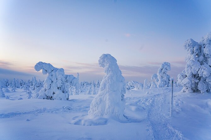 Arctic Adventure Through Magical Frozen Forests of Riisitunturi - Gearing Up for Adventure