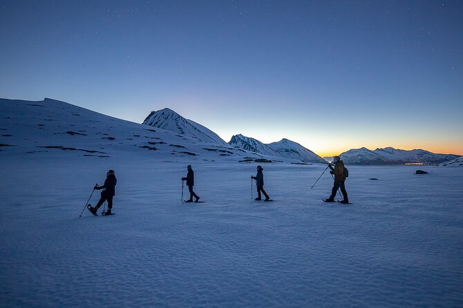 Arctic Landscapes Hiking Tour - Sightseeing & Snowshoeing, Tromsø - Meeting Details