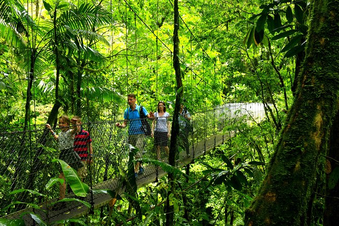 Arenal Hanging Bridges Nature Tour - Expert Guidance and Wildlife Spotting