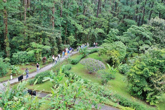 Arenal Observatory Trails Admission Ticket - Discovering the Waterfalls and Suspension Bridges
