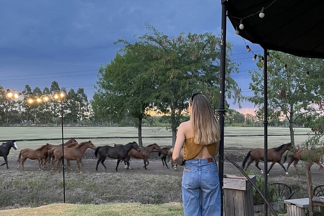 Argentina Polo Experience by La Guapeada Polo - Activities and Inclusions