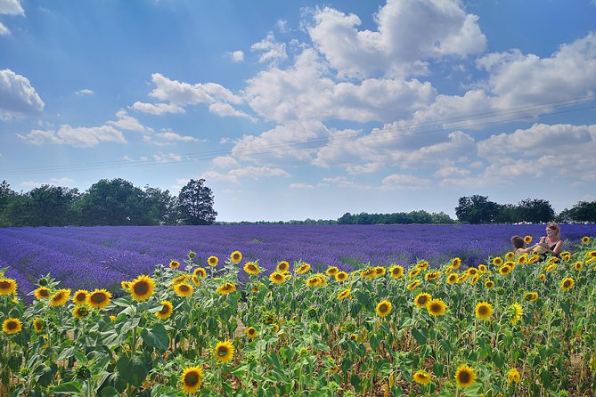 Arles Small Groupe Tour : Private Day Trip to Luberon Villages - Location and Highlights