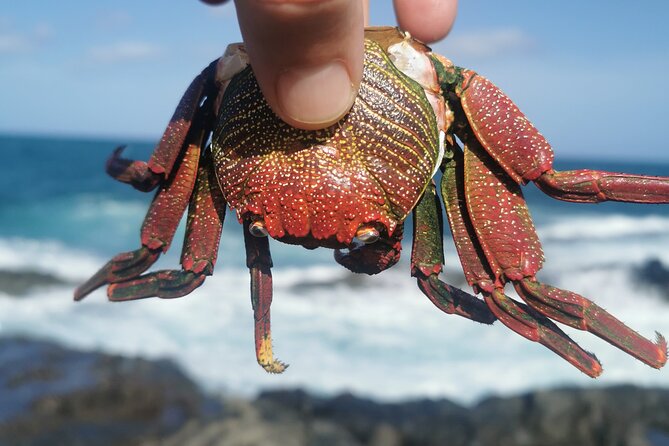 Arround Gran Canaria All Highlights Private Shore Excursion - Itinerary and Destinations