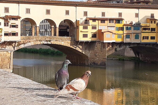 Art and History -Florence Walking Tour - Meeting and Accessibility Information