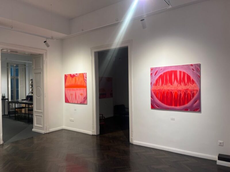 Art and Wine Gallery Tour in Tokaj Artwine Budapest - Booking Process