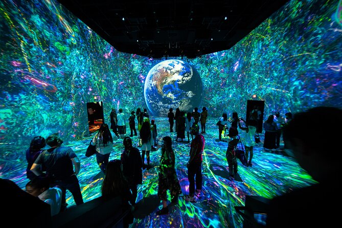 ARTECHOUSE DC Immersive Art Experience With Reserved Entry Time - Visitor Reviews and Ratings
