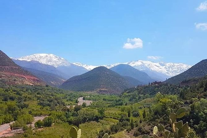 Atlas Mountain & Berber Villages and Waterfalls Day Trip From Marrakech - Cultural Insights