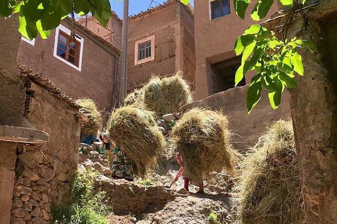 Atlas Mountains Day Trip With Camel Ride From Marrakech Including Lunch - Itinerary Overview