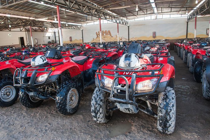ATV Quad Bike Ride Safari and Camel Ride With Transfer - Hurghada - Booking Details