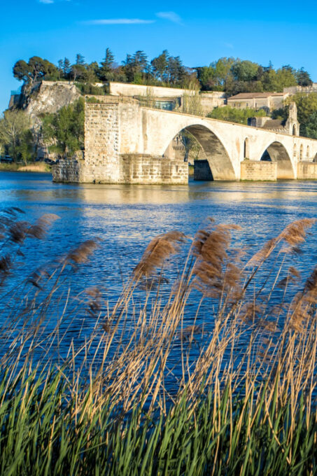 Avignon: Gourmet Picnic With a View of the Pont D'avignon - Frequently Asked Questions