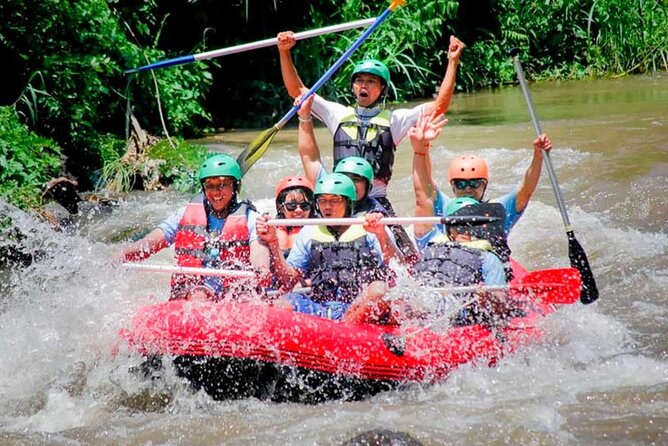 Bali Bintang Rafting (BBR) Ayung River Ubud - Scenic Experience Highlights