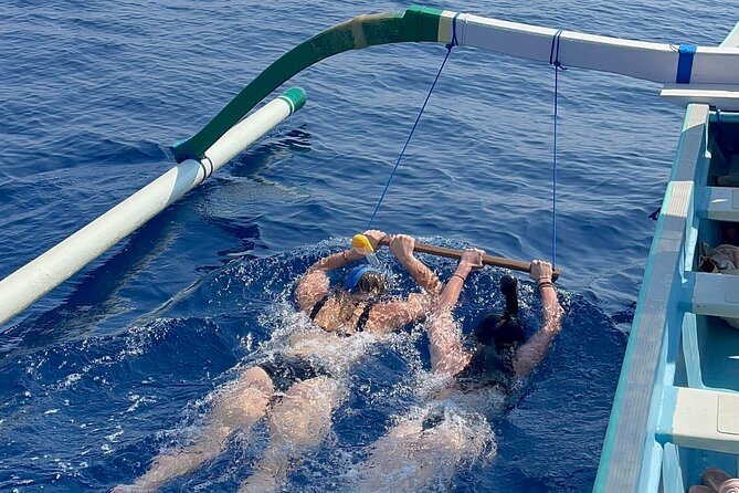 Bali : Dolphin Sunrise Experience Tour Private All Inclusive - Pricing and Booking Details