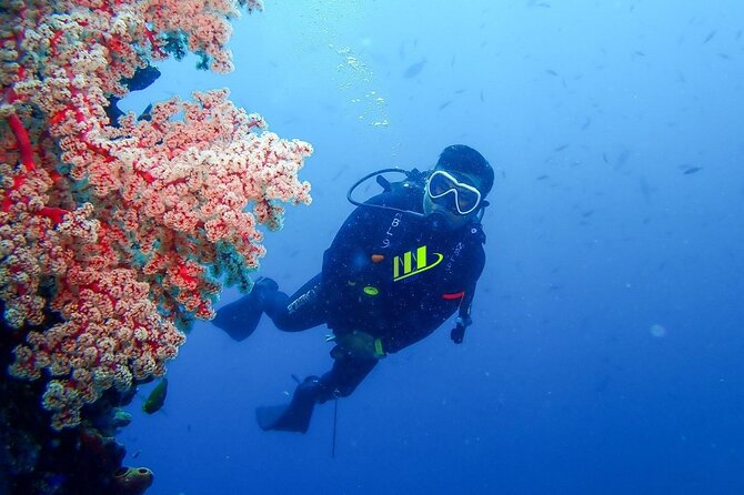 Bali Full Day Experience Scuba Diving Tour at Tulamben - Inclusions and Facilities