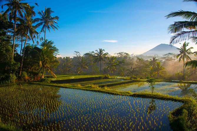 Bali Half Day Photography Tour - Photography Opportunities